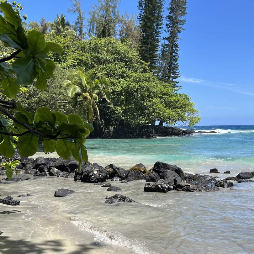 Shipman Beach A Serene Escape near Ala Kai Bed and Breakfast